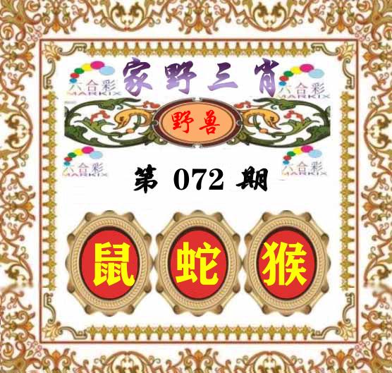 家野三肖 第72期