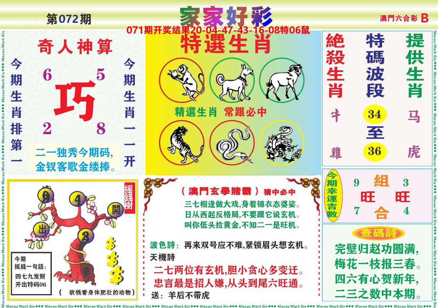 家家好彩B 第72期