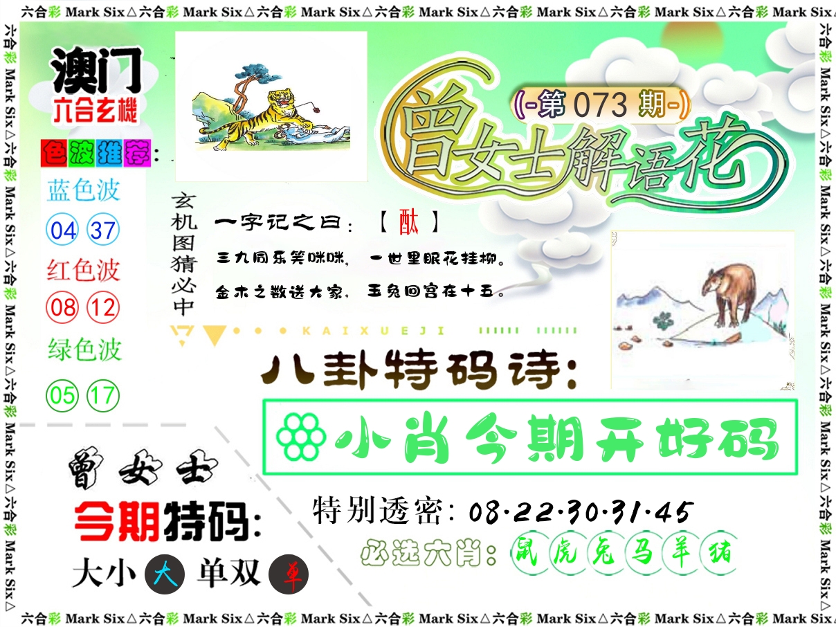曾女士解语花 第73期