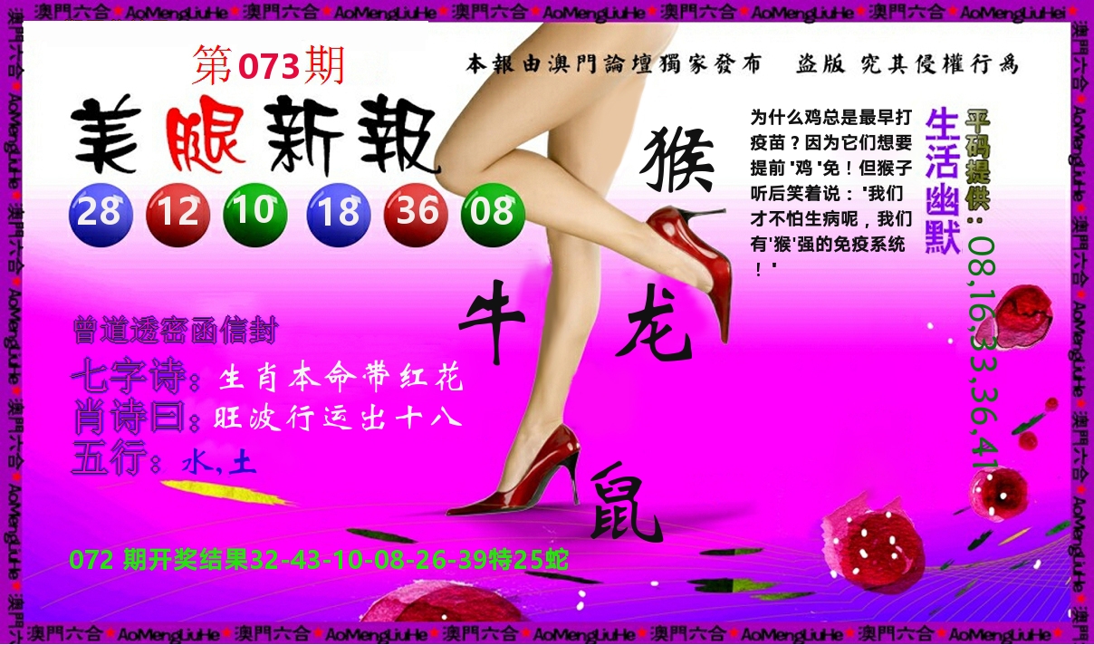 美腿新报 第73期