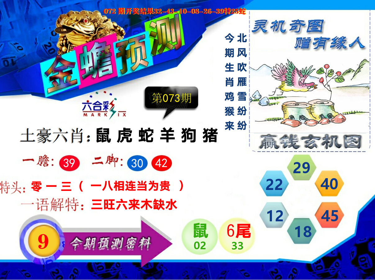 金蟾预测 第73期