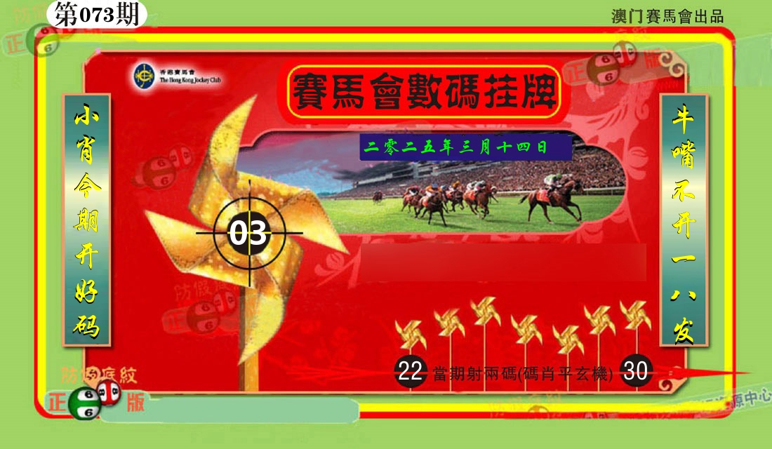 赛马会数码挂牌 第73期