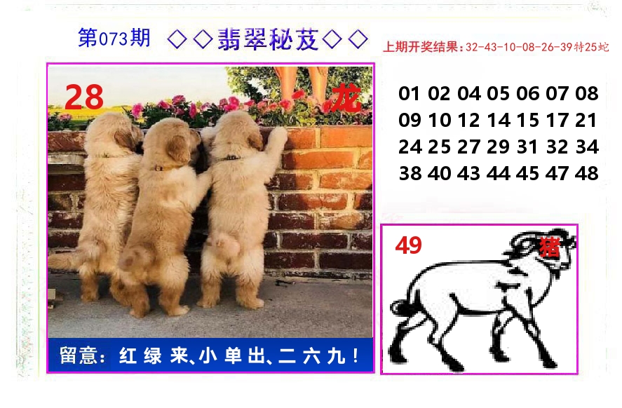 翡翠秘芨 第73期