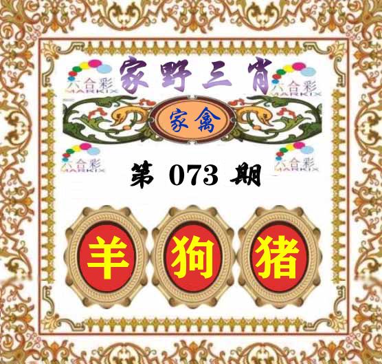 家野三肖 第73期