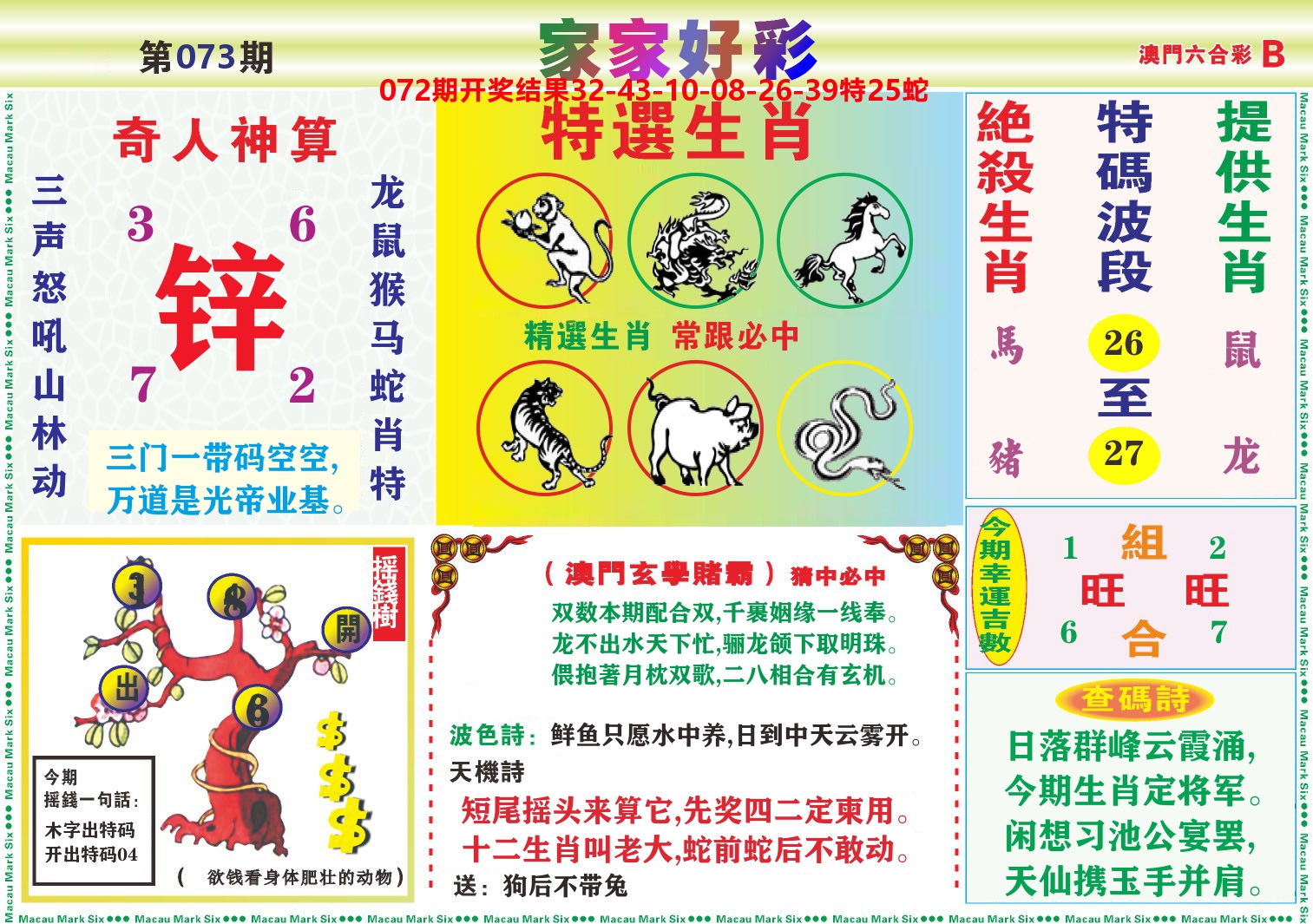 家家好彩B 第73期