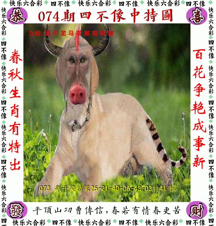 四不像 第74期