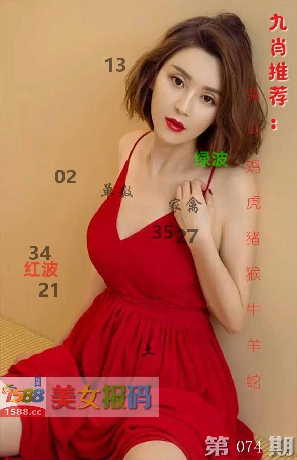 美女报码 第74期