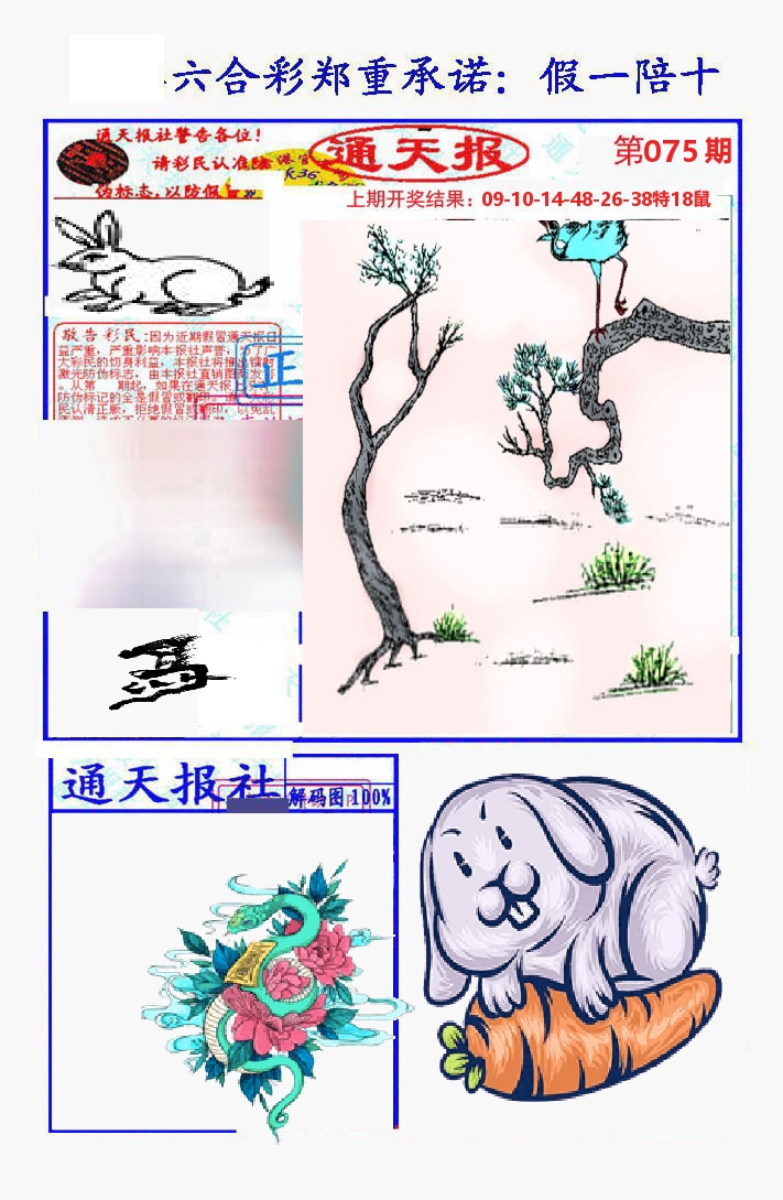 通天报 第75期