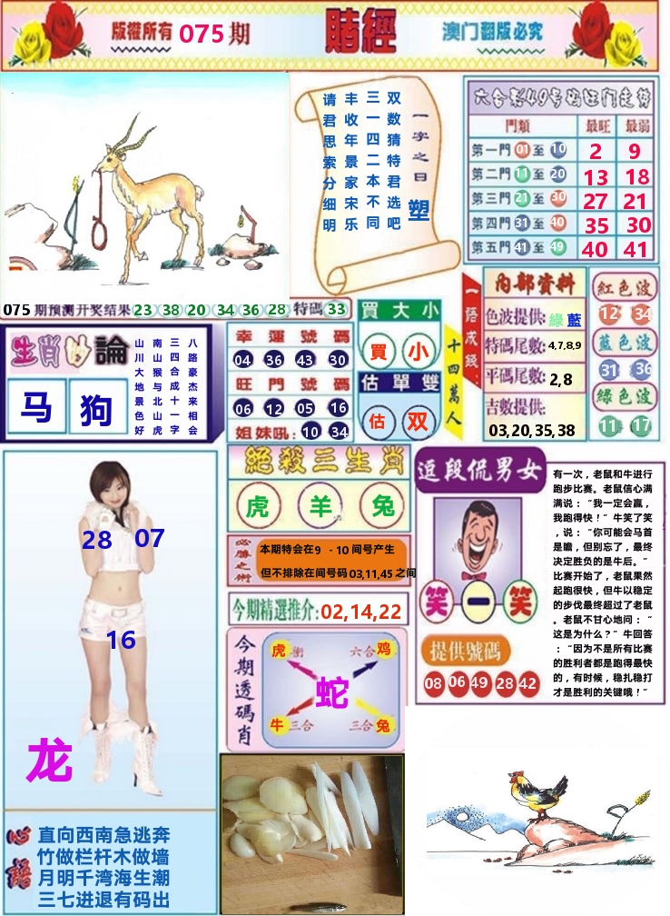 澳门赌经 第75期