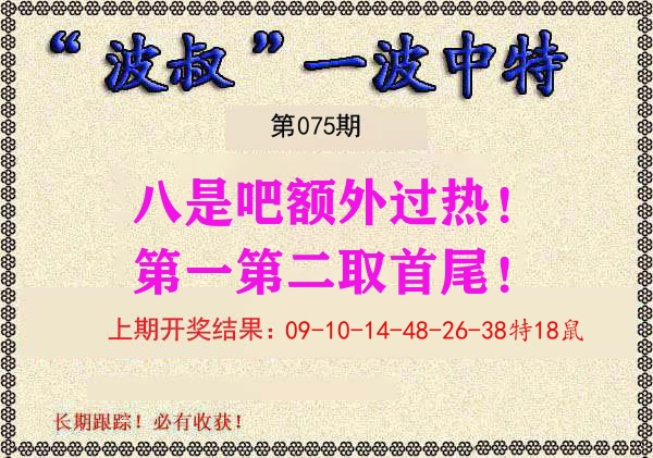 波叔中特 第75期