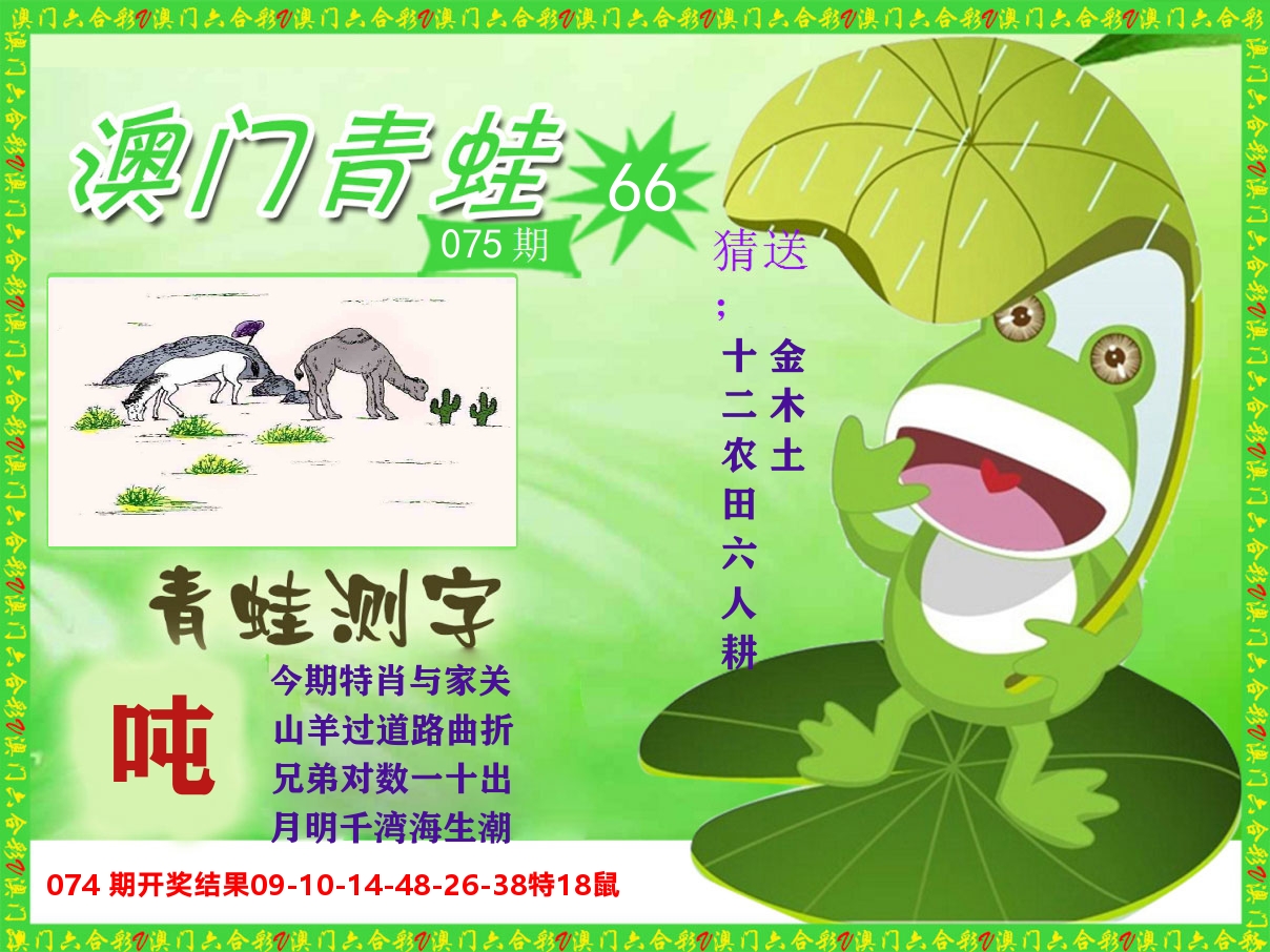 青蛙系列66 第75期