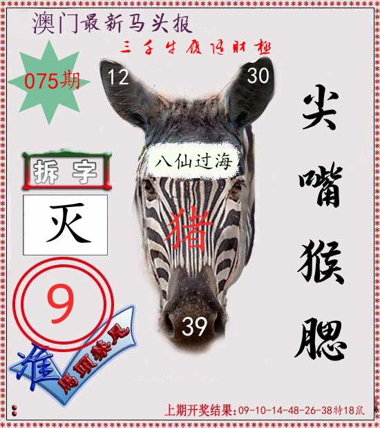 马头报 第75期