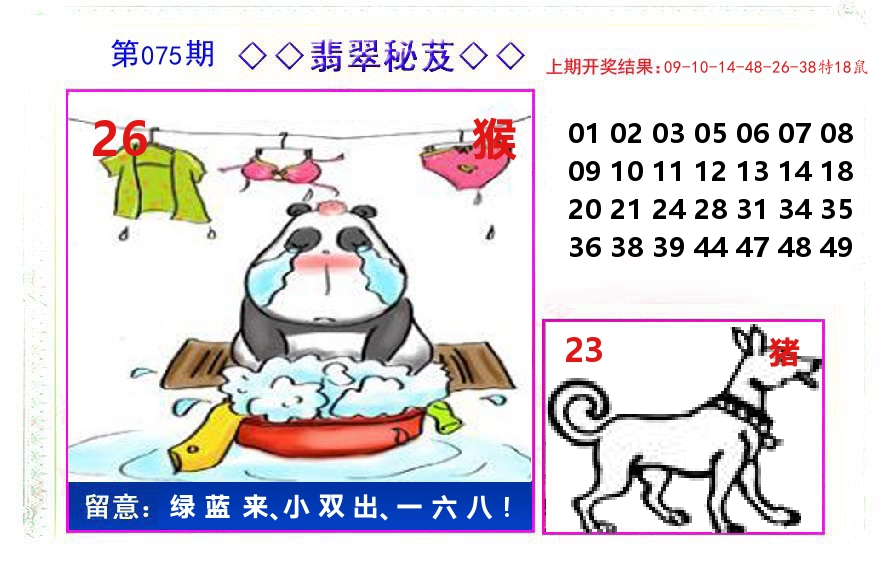 翡翠秘芨 第75期