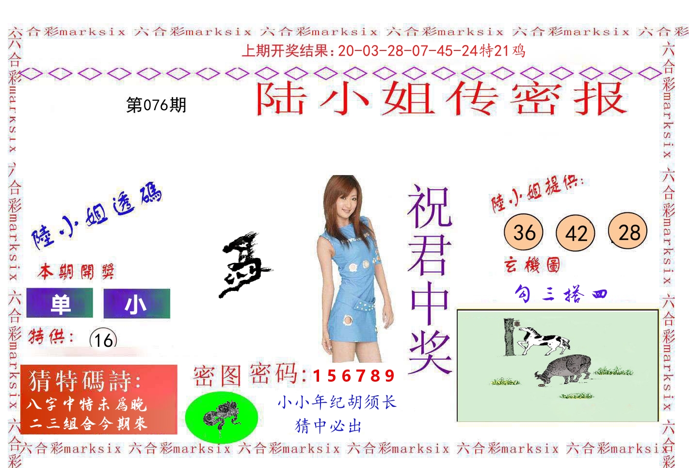 陆小姐密报 第76期