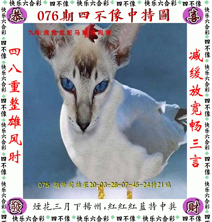 四不像 第76期