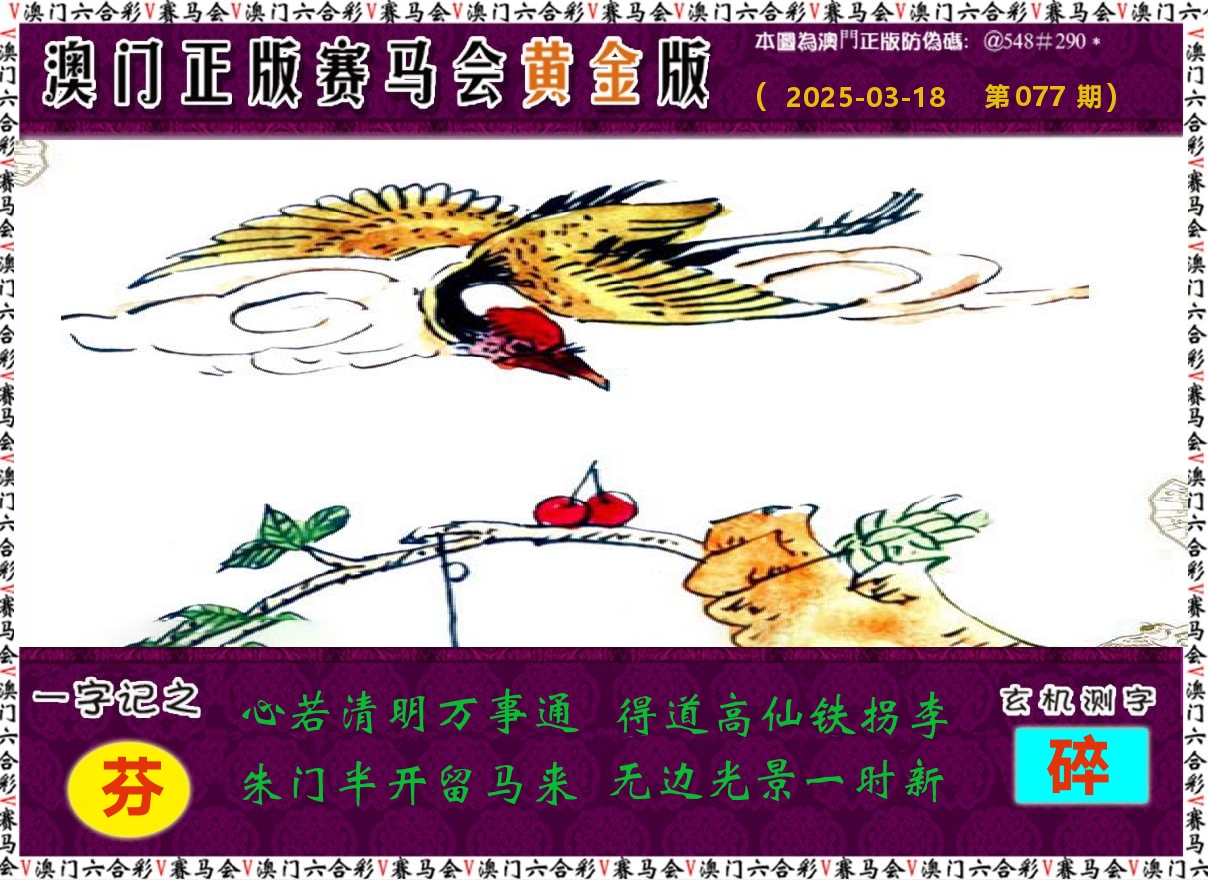赛马会黄金版 第77期