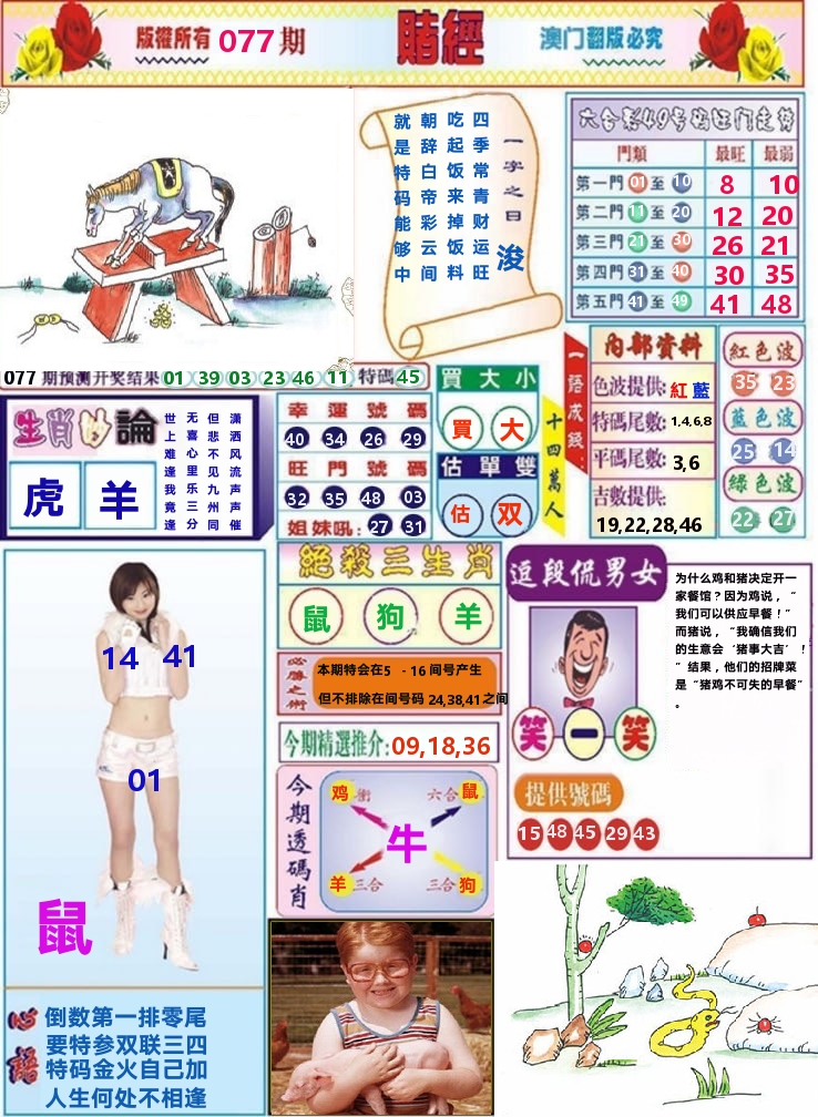 澳门赌经 第77期