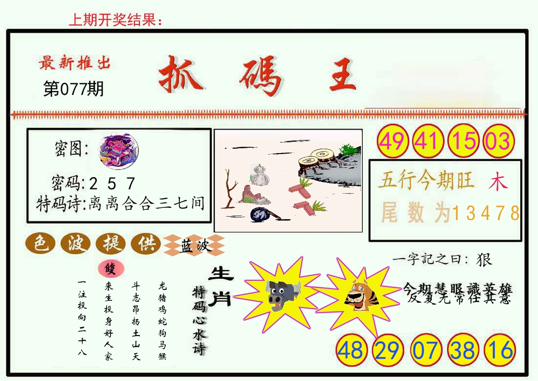 最新抓码王 第77期