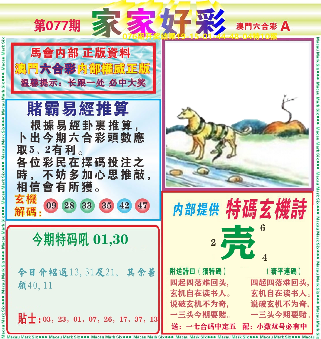 家家好彩A 第77期