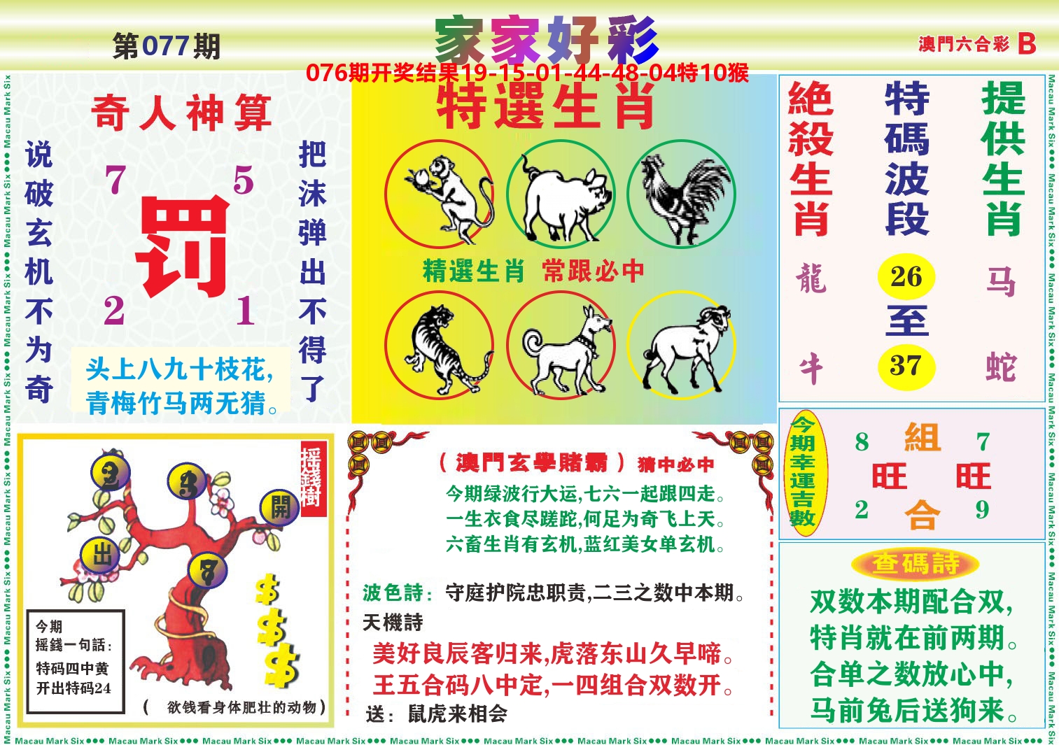 家家好彩B 第77期