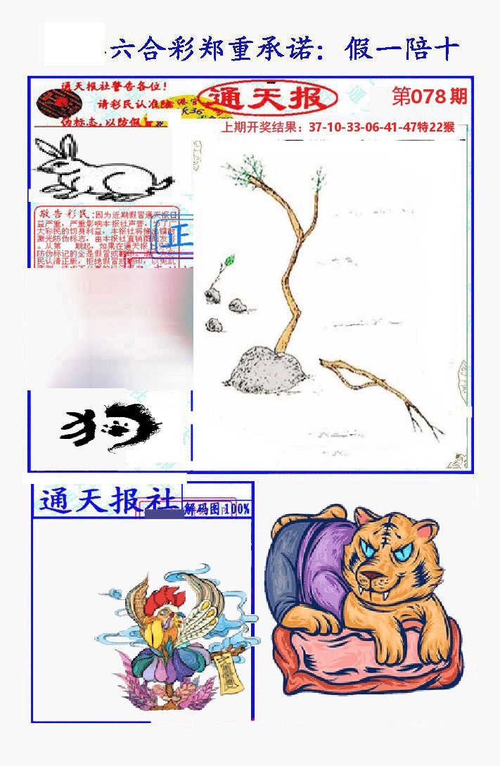 通天报 第78期