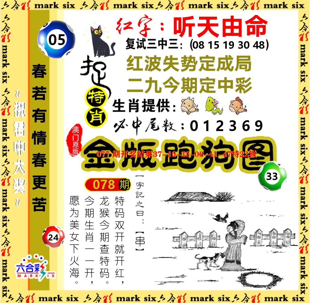 金版跑狗图 第78期