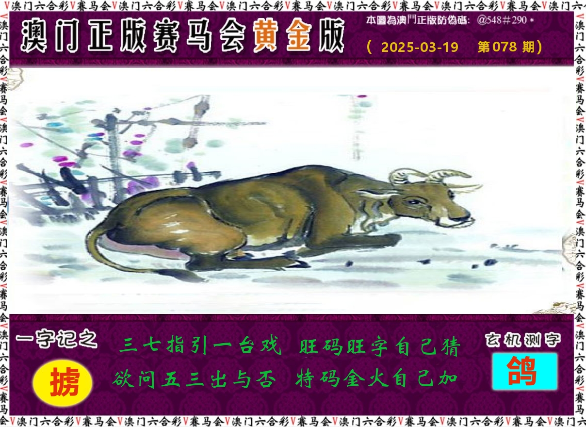 赛马会黄金版 第78期