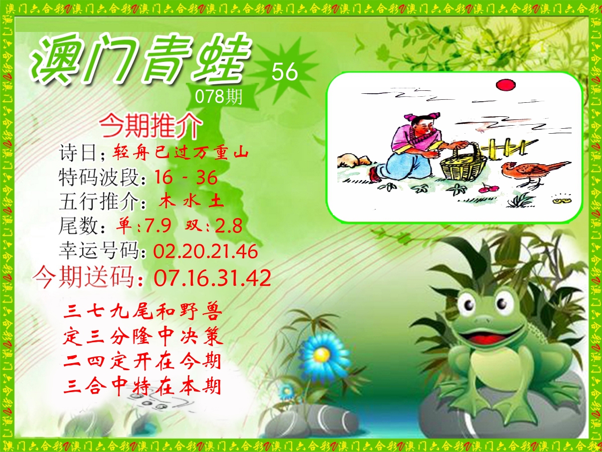 青蛙系列56 第78期