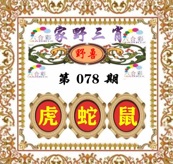 家野三肖 第78期