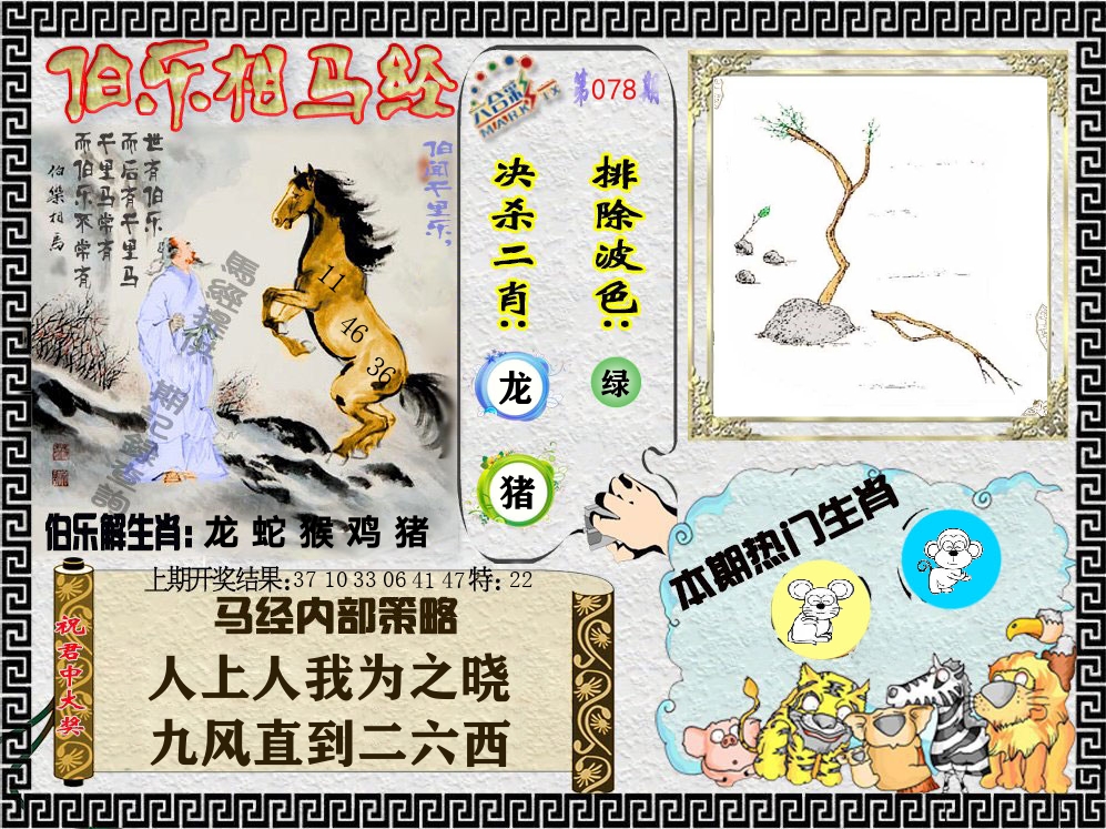 伯乐相马经 第78期