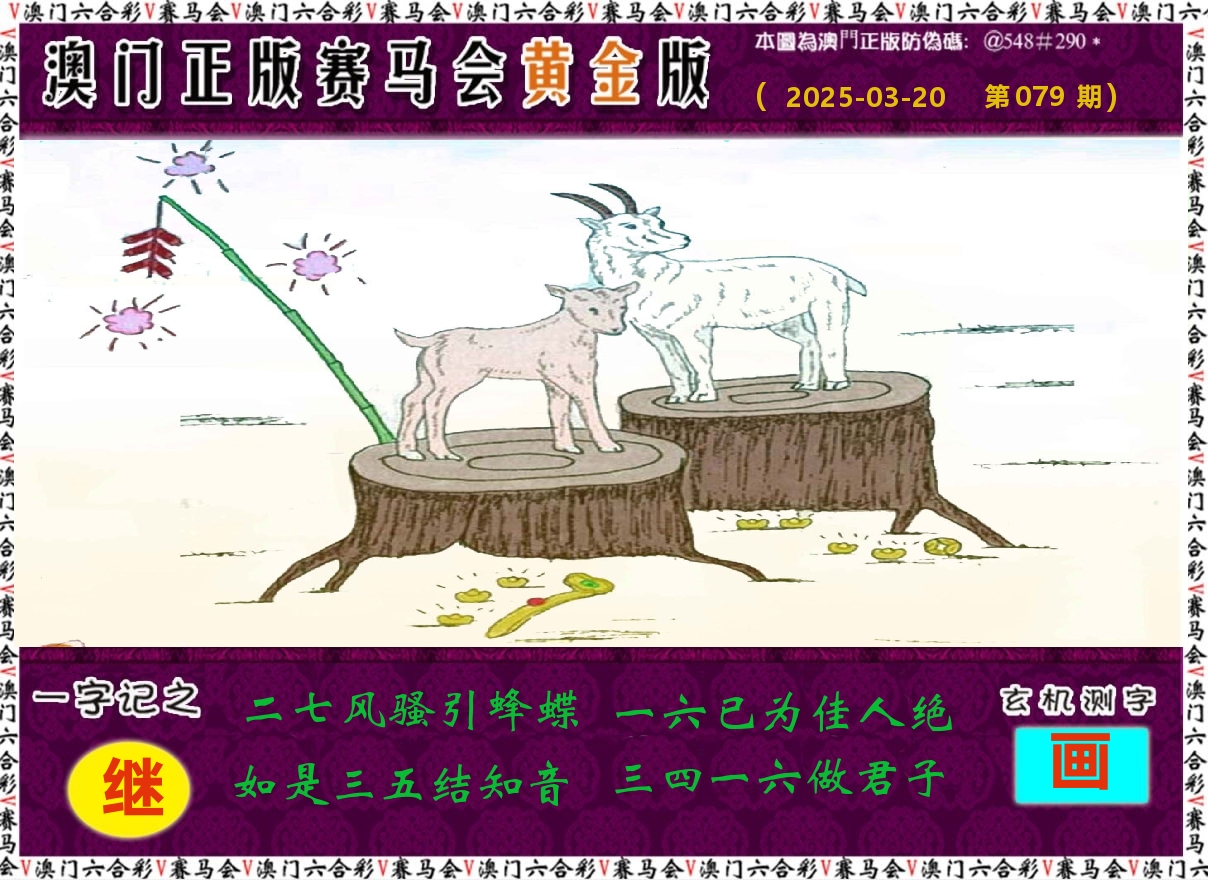 赛马会黄金版 第79期