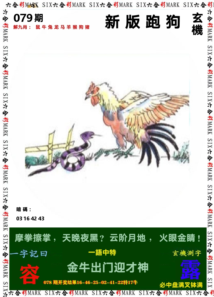 悟入其图 第79期