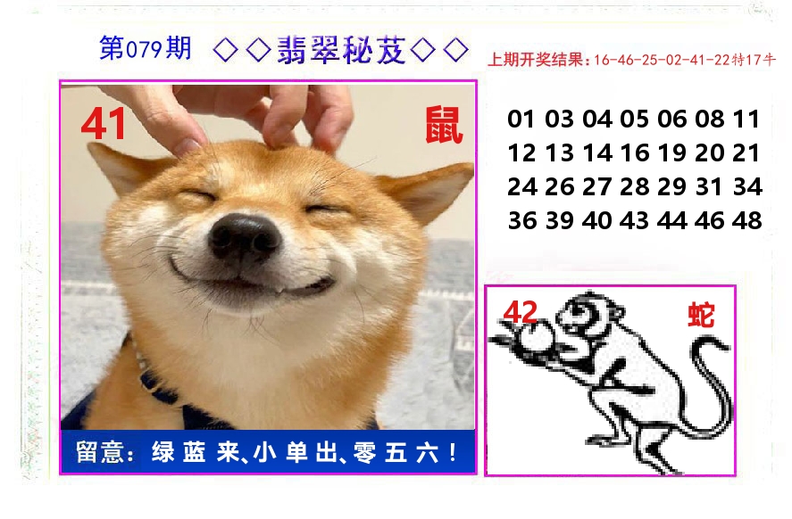 翡翠秘芨 第79期