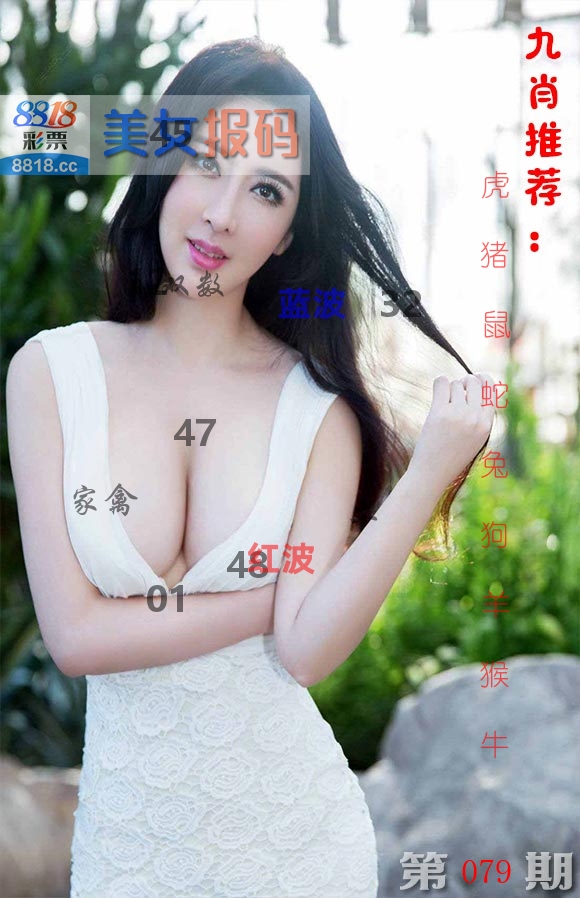 美女报码 第79期