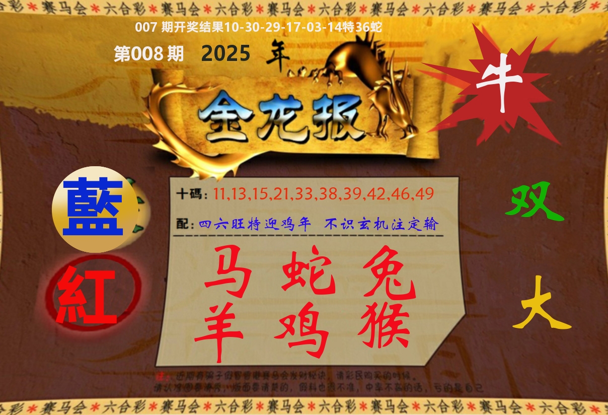 金龙报 第8期