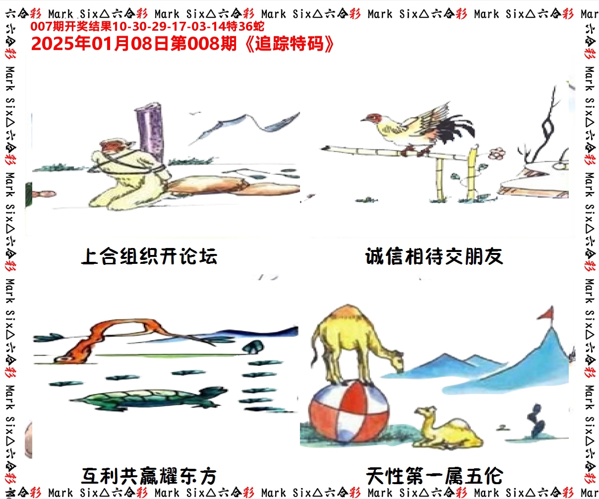 追踪特码 第8期