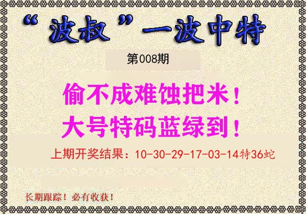 波叔中特 第8期