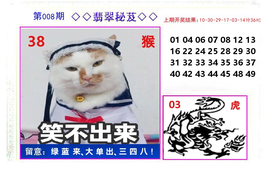 翡翠秘芨 第8期