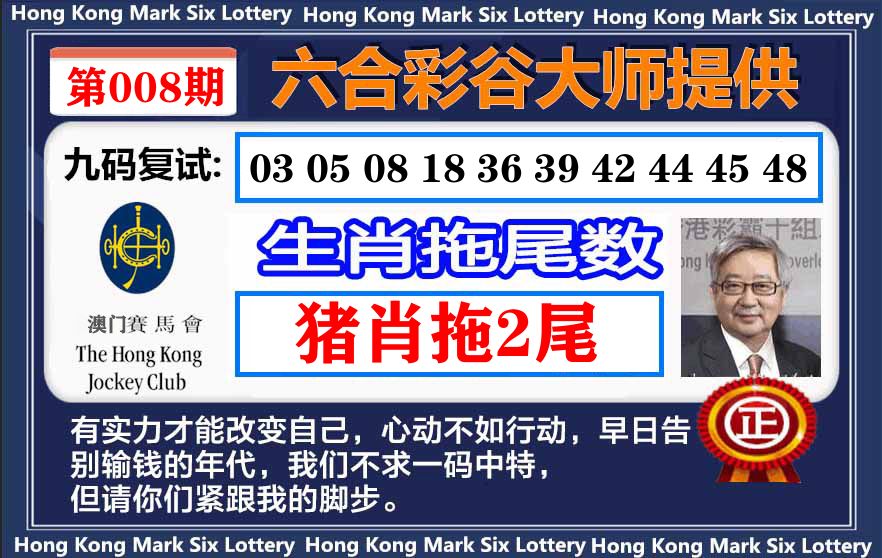 谷大师九码复式 第8期