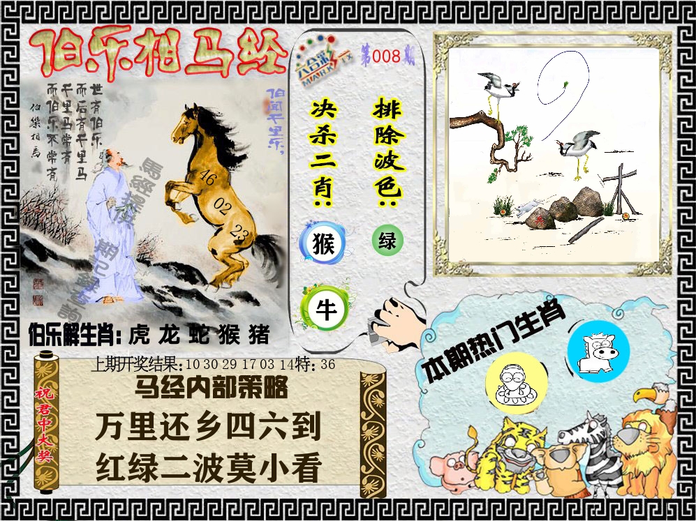 伯乐相马经 第8期