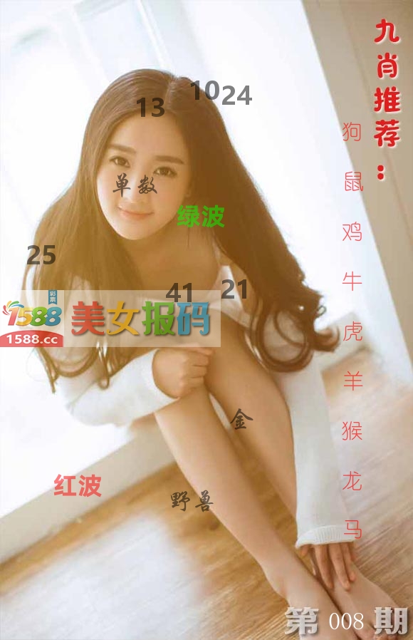 美女报码 第8期