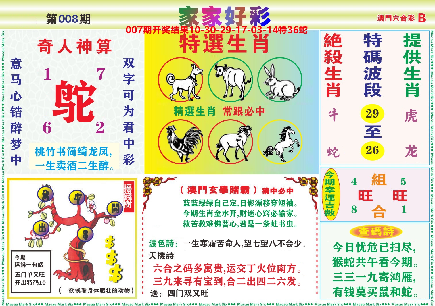 家家好彩B 第8期