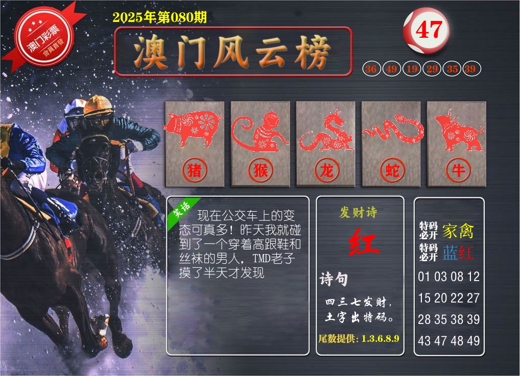 澳门风云榜 第80期