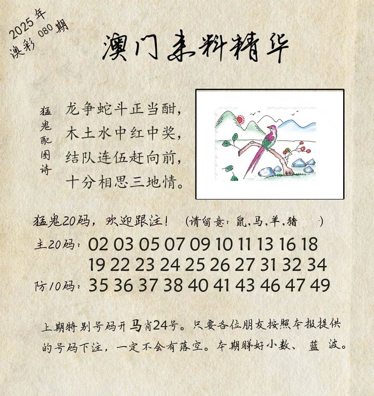 精华来料 第80期
