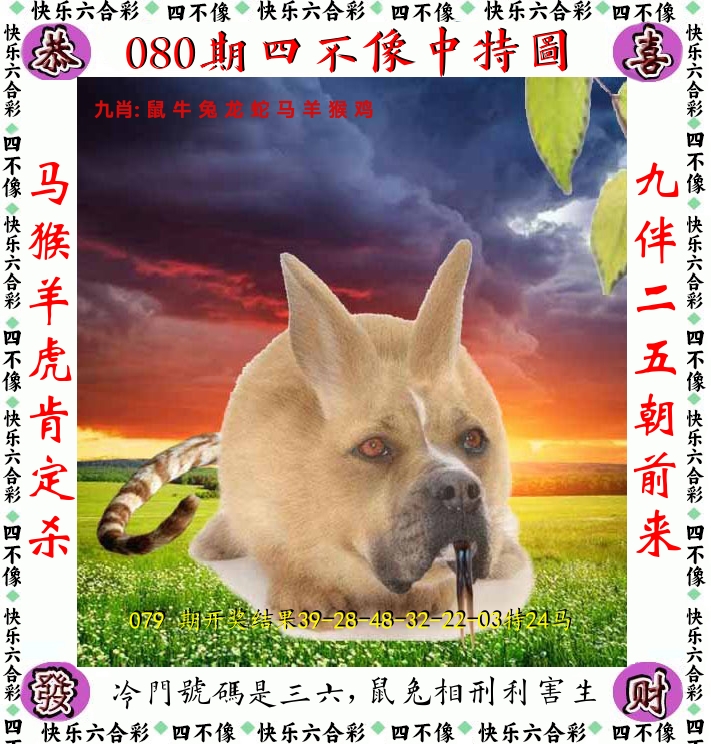 四不像 第80期
