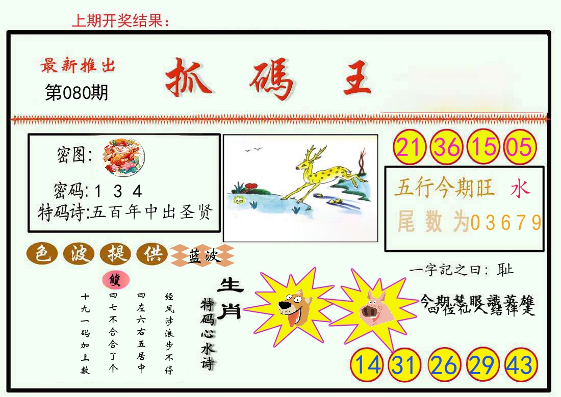 最新抓码王 第80期