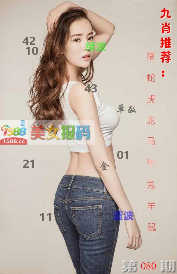 美女报码 第80期
