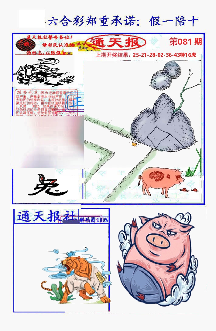 通天报 第81期