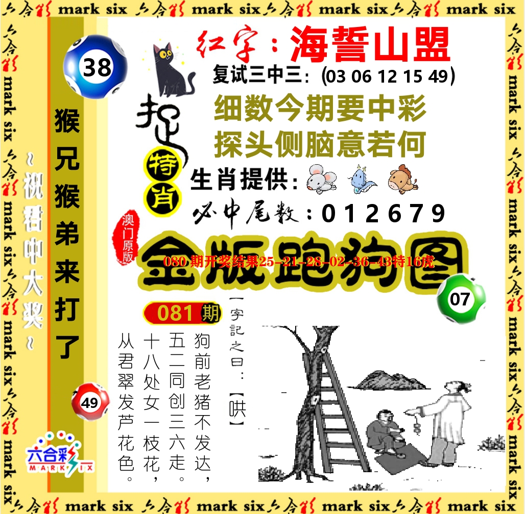 金版跑狗图 第81期