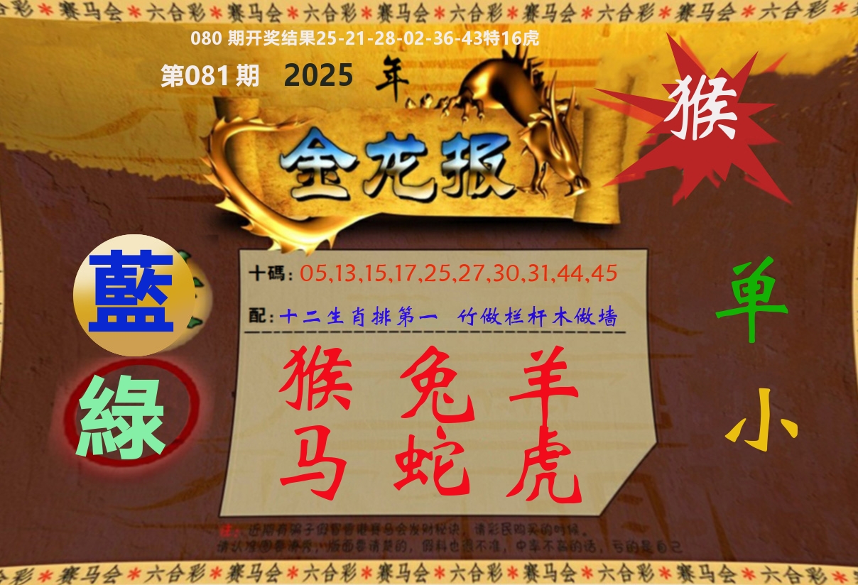 金龙报 第81期